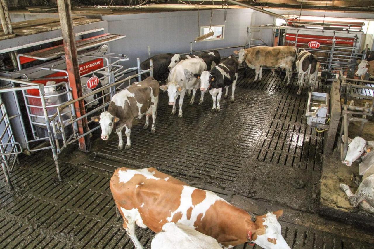 Gite A La Ferme Rouvroy Экстерьер фото